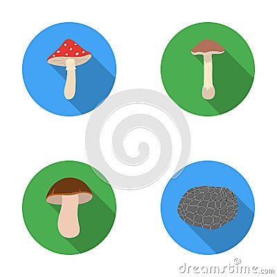 Amanita, porcini, black truffle,toadstool. set collection icons in flat style vector symbol stock illustration web. Vector Illustration