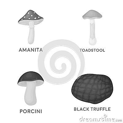 Amanita, porcini, black truffle,toadstool. set collection icons in monochrome style vector symbol stock illustration web Vector Illustration