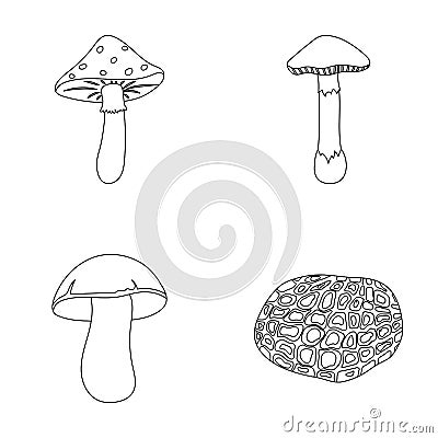 Amanita, porcini, black truffle,toadstool. set collection icons in outline style vector symbol stock illustration web. Vector Illustration