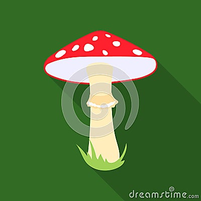 Amanita vector icon in flat style for web Vector Illustration