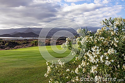 Amarilla - Panoramic view from Amarilla golf course on cloud covered Pico del Teide and volcanic crater landscape on Tenerife Stock Photo