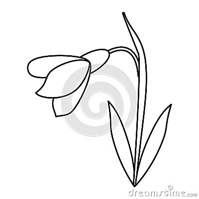 Amaryllis flower decorative icon thin line Vector Illustration