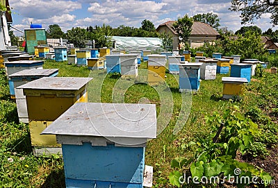 Amateur apiary near apartment building_4 Stock Photo