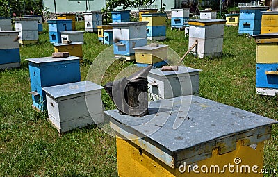 Amateur apiary near apartment building_6 Stock Photo