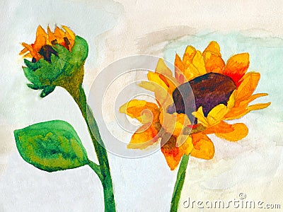 Amateur drawing of sunflowers Stock Photo