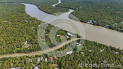 Amazing aerial view of Mekong Delta, vast coconut, palm, nipa tree field, irrigation system by canal with many river branch, water Stock Photo