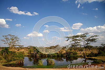 Amazing Africa savanna view Stock Photo