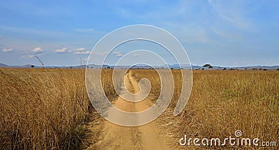 Amazing african nature and landscape Stock Photo