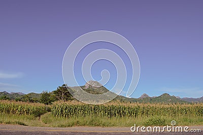 Amazing african scenery with mountains of different shapes, corn field, lush grass, exotic trees on the road to Dedza in Malawi, Stock Photo