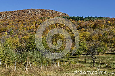 Amazing autumn view of glade, hill, forest with deciduous trees near to pretty village Zhrebichko, Bratsigovo municipality Stock Photo