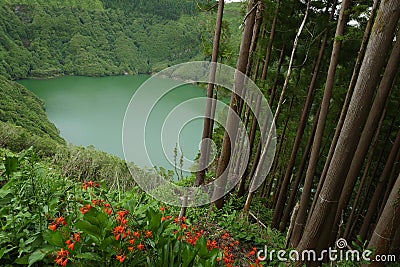 Amazing beautiful landscape view of green lagoon Lagoa do Rasa o Stock Photo