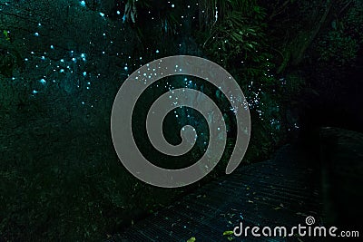 Amazing bio luminescent lights from Waitomo Glowworm Caves, Waikato, New Zealand Stock Photo