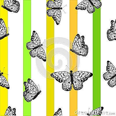 This is an amazing black butterfly. A white background with multi-colored stripes. Vector Illustration