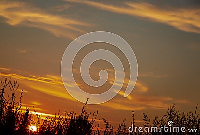Amazing bright colorful sunset above the grass Stock Photo