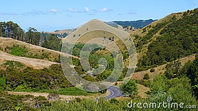 Amazing bush covered hills and grasslands surround winding countryside road. Stock Photo