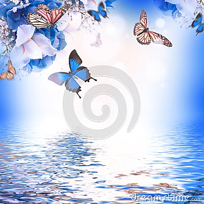 Amazing butterfly fairy of flowers Stock Photo