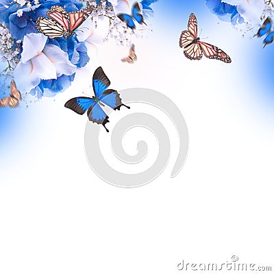 Amazing butterfly fairy of flowers Stock Photo