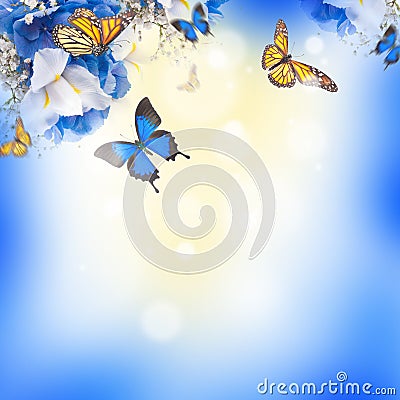 Amazing butterfly fairy of flowers Stock Photo