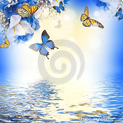 Amazing butterfly fairy Stock Photo