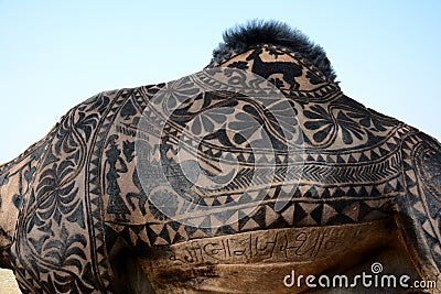 Amazing Camel Hair Art at Bikaner Camel Festival Editorial Stock Photo