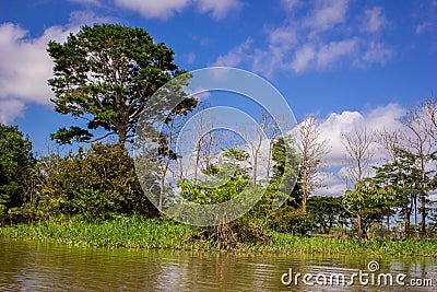Amazing clouds at a rainforest amazon jungle amazon river Stock Photo