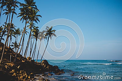 Amazing Coconut palm hill in Mirissa bay in Sri lanka. Palms silhouette over blue ocean beach Stock Photo