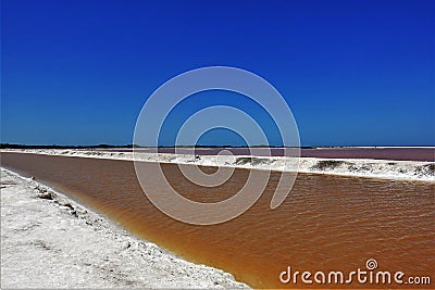 Amazing color contrast in nature. Mexico. Stock Photo