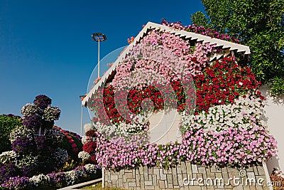 Amazing colorful houses of flowers in the Miracle Garden park, Dubai, United Arab Emirates Editorial Stock Photo