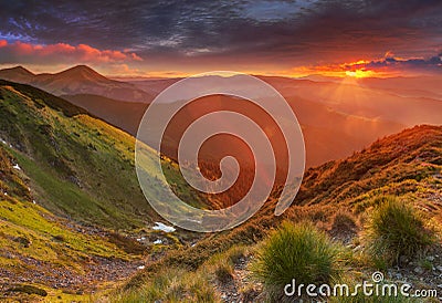 Amazing colorful sunrise in mountains with colored sunrays and fresh grass on foreground. Dramatic colorful scene in mountains Stock Photo