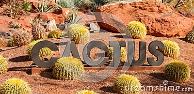 Amazing desert cactus garden with CACTUS sign. Stock Photo