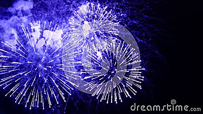 Amazing fireworks flowers on the night sky. Brightly blue fireworks on dark black color background. Holiday relax time with Stock Photo