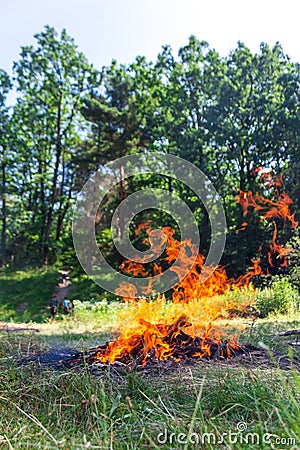 Amazing flames of campfire near the forest Stock Photo