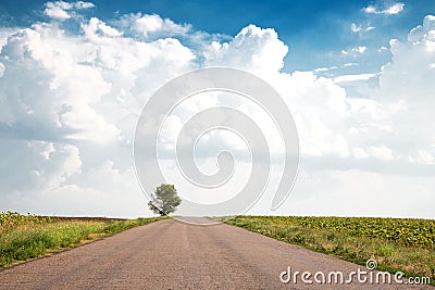 Amazing landscape. The road recedes into the distance and a lonely tree on the side of the road. Horizontal photo Stock Photo