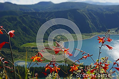 Amazing landscape view of crater volcano lake in Sao Miguel island Azores Portugal with flowers Stock Photo