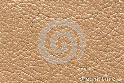 Amazing light leather texture with relief surface. Stock Photo