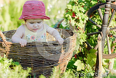 A cute little girl sits on a hay in a basket in the garden Stock Photo