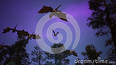 Amazing magical creatures fly over a mysterious night forest. Looping for fantasy, fiction or fabulous backgrounds. 3D Stock Photo