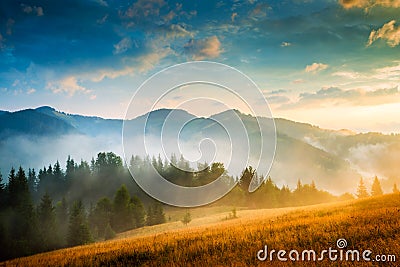 Amazing mountain landscape with fog Stock Photo