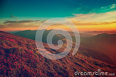 Amazing mountain sunrise Stock Photo