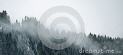 Amazing mystical rising fog sky forest snow snowy trees landscape snowscape in black forest Schwarzwald winter, Germany Stock Photo