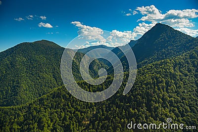 Amazing nature. An impressive green forest between the mountains landscape. Stock Photo