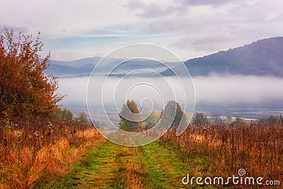 Amazing nature, scenic autumn landscape with misty mountains, colorful autumnal grass and trees and blue sky with clouds Stock Photo