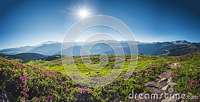 Amazing panorama of French Alps, part of famous trek Chamonix Mont Blanc in the backround.. View of French mountains in summer hik Stock Photo