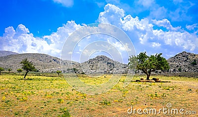 Amazing panorama of rough wild mountains, grass, cloudy blue sky, Lasithi, Crete Stock Photo