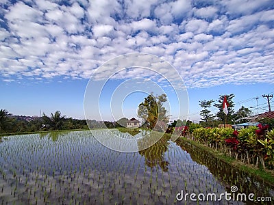 the amazing panorama in the village of Bangsing rice field is like a mirror Stock Photo
