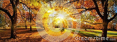 Amazing panoramic autumn scenery in a park Stock Photo