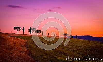 Amazing purple landscape Stock Photo