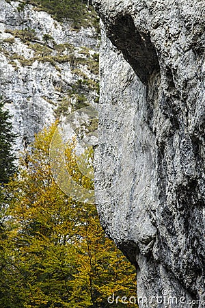 Amazing rock Stock Photo