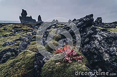 Amazing rock formation, Londrangar, Snaefellsness peninsula, Iceland Stock Photo