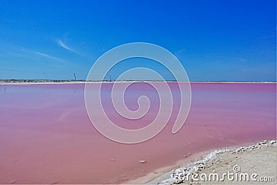 Amazing salt lake. Smooth pink surface, bright blue sky, clean sand. Stock Photo